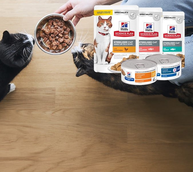 pt banner cat 4 opt 1